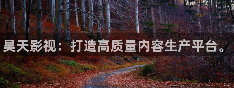 午夜aaa电影：昊天影视：打造高质量内容生产平台。