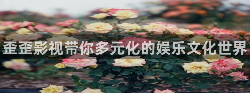 404午夜大片免费在线观看：歪歪影视带你多元化的娱乐文化世界