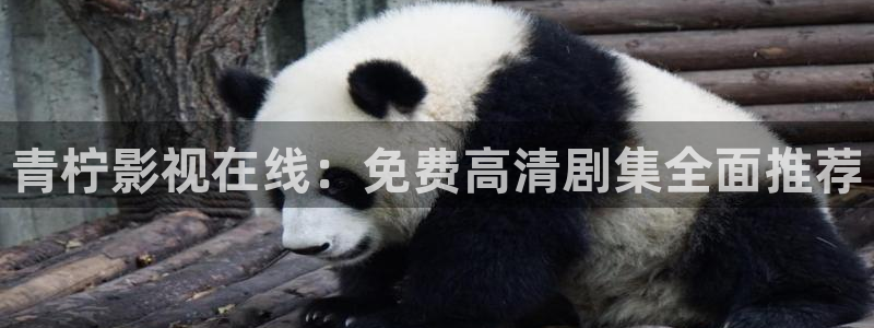 福利社 午夜影院：青柠影视在线：免费高清剧集全面推荐