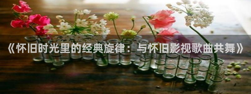 午夜影院福利站：《怀旧时光里的经典旋律：与怀旧影视歌曲共舞》